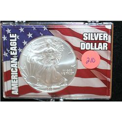 2010 Silver Eagle $1, "American Eagle Silver Dollar"