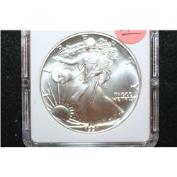 1991 Silver Eagle $1, MCPCG Graded MS70