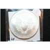 Image 2 : 2010 Silver Eagle $1