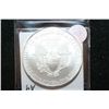 Image 2 : 2010 Silver Eagle $1