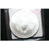 Image 2 : 2010 Silver Eagle $1
