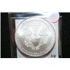 Image 2 : 2010 Silver Eagle $1