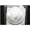 Image 2 : 2010 Silver Eagle $1
