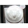 Image 2 : 2010 Silver Eagle $1
