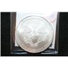 Image 2 : 2010 Silver Eagle $1
