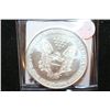 Image 2 : 1996 Silver Eagle $1