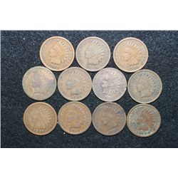 Indian Head Penny, Various Dates & Conditions, Lot of 10