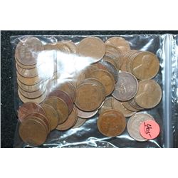 Wheat Back Penny, Various Dates & Conditions, Lot of 50