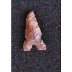 Sahara Neolithic point measures approx 1 inch
