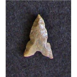 Sahara Neolithic point measures approx 1 inch