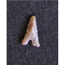 Sahara Neolithic point measures approx 1 inch