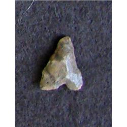 Sahara Neolithic point measures approx 1 inch
