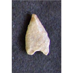 Sahara Neolithic point measures approx 2 inches