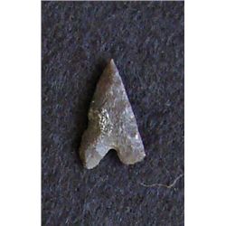 Sahara Neolithic point measures approx 1 inch