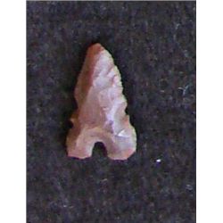 Sahara Neolithic point measures approx 1 inch