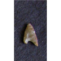 Sahara Neolithic point measures approx 1 inch