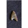 Image 1 : Sahara Neolithic point measures approx 1 inch
