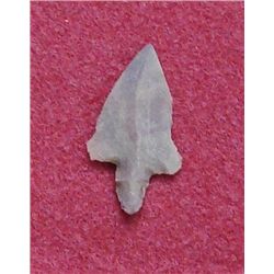 Sahara Neolithic Point measures approx 1.5 inches