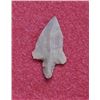 Image 1 : Sahara Neolithic Point measures approx 1.5 inches
