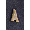 Image 1 : Sahara Neolithic point measures approx 1 inch