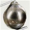 9.9ct Freeform Tahitian Black Pearl (GEM-45726)
