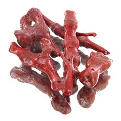 53.65ct Red Coral Freeform Parcel (GEM-46325)