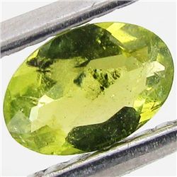 0.4ct Chrome Green Tourmaline Oval (GEM-40706)