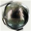Image 1 : 11.46ct Freeform Tahitian Black Pearl (GEM-45760)