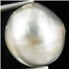 Image 1 : 8.34ct Freeform Tahitian Black Pearl (GEM-45711)