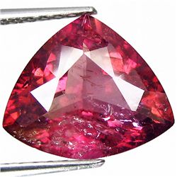 5.54ct Rare Watermelon Tourmaline (GEM-44482)