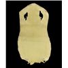 Image 1 : Untanned Stingray Hide Pelt 24" (ACT-352)