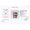 Image 2 : 8.11ct Watermelon Tourmaline Appraised $3005 (GEM-44390)