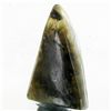 Image 1 : 12.13ct RARE Translucent Labradorite Cabochon  (GEM-39225)
