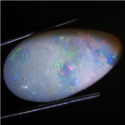 7.45ct Top Fire Australian Solid Opal Cab (GEM-46625)