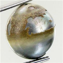 9.93ct Freeform Tahitian Black Pearl (GEM-45695)