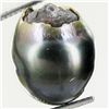Image 2 : 15.83ct Freeform Tahitian Black Pearl (GEM-45743)
