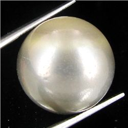 32.35ct Tahitian Baroque Pearl (GEM-45865)