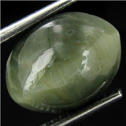 4.35ct Apatite Cat'S Eye Cabochon Oval (GEM-42910)