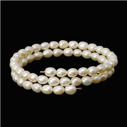 Saltwater Small White Pearl Bracelet  (JEW-260)