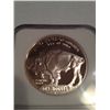 Image 2 : 2001-P Buffalo $1 PF-69 Ultra Cameo