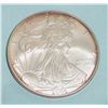 Image 1 : 2006 .999 BU PURE SILVER AMERICAN EAGLE