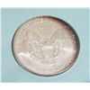 Image 2 : 2006 .999 BU PURE SILVER AMERICAN EAGLE