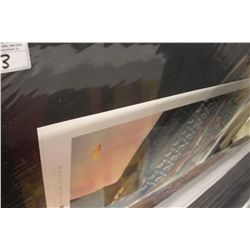 ASSORTMENT OF LARGE UNFRAMED PRINTS