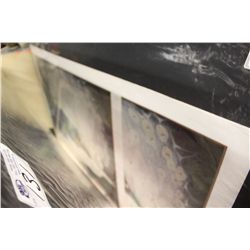 ASSORTMENT OF LARGE UNFRAMED PRINTS