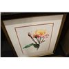 Image 2 : PAIR OF FRAMED FLORAL PRINTS SIGNED BY M S