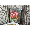 Image 1 : FRAMED TULIP OIL ON CANVAS SIGNED MEDIUM SIZE