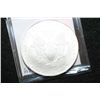 Image 2 : 2010 Silver Eagle $1