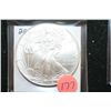 Image 1 : 2010 Silver Eagle $1