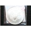 Image 2 : 2010 Silver Eagle $1