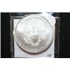 Image 2 : 2010 Silver Eagle $1